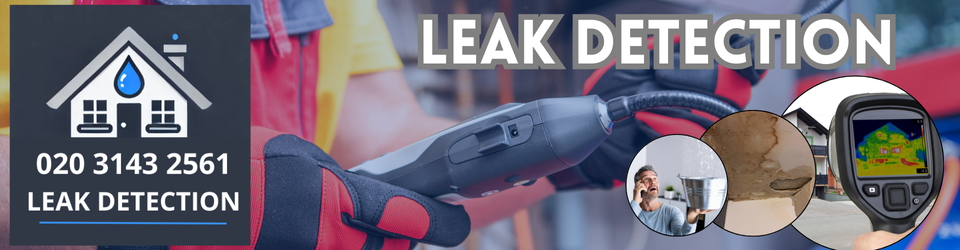 Isleworth Leak Detection