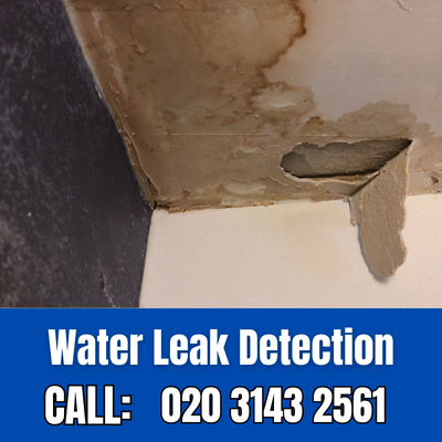 Expert Water Leak Detection Services in Isleworth | Isleworth Leak Detection